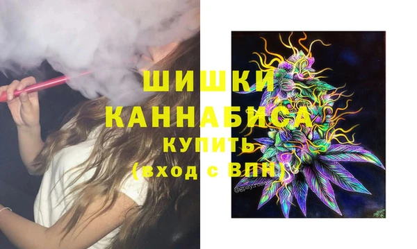 сатива Архангельск