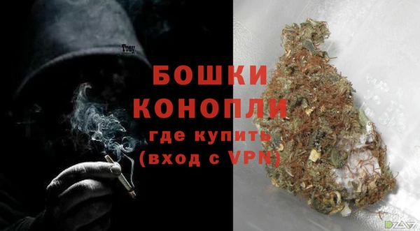 спайс Чита