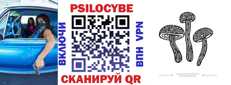 как найти закладки  Ессентуки  Псилоцибиновые грибы Cubensis 