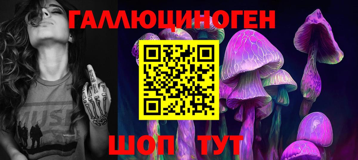 Псилоцибиновые грибы GOLDEN TEACHER  Вход с VPN  Галлюциногенные грибы Cubensis  Ессентуки 