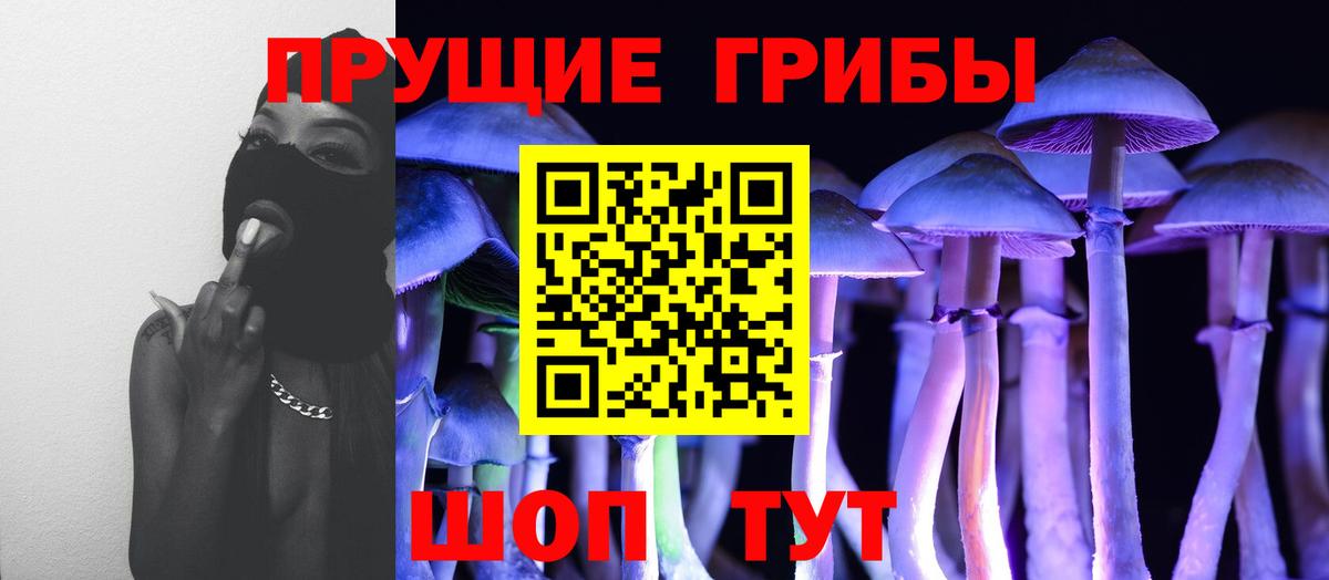Галлюциногенные грибы Psilocybine cubensis Ессентуки