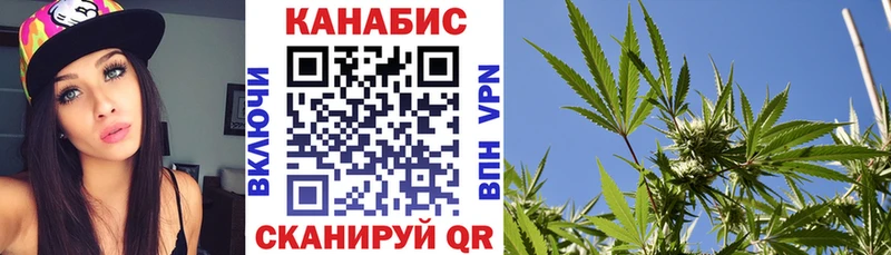 Шишки марихуана семена  blacksprut вход  Ессентуки 